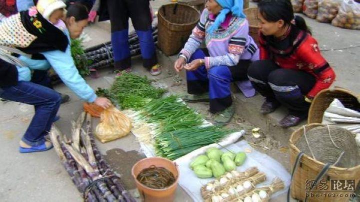 W(wng)ь(sh)ģˬ˵ʳˬD - hanwa - `ļ҈@